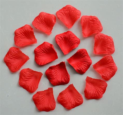 bag of fake red petals|Amazon.com.au: Artificial Rose Petals.